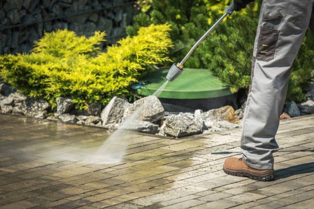 Best Fence Cleaning  in Pendleton, SC